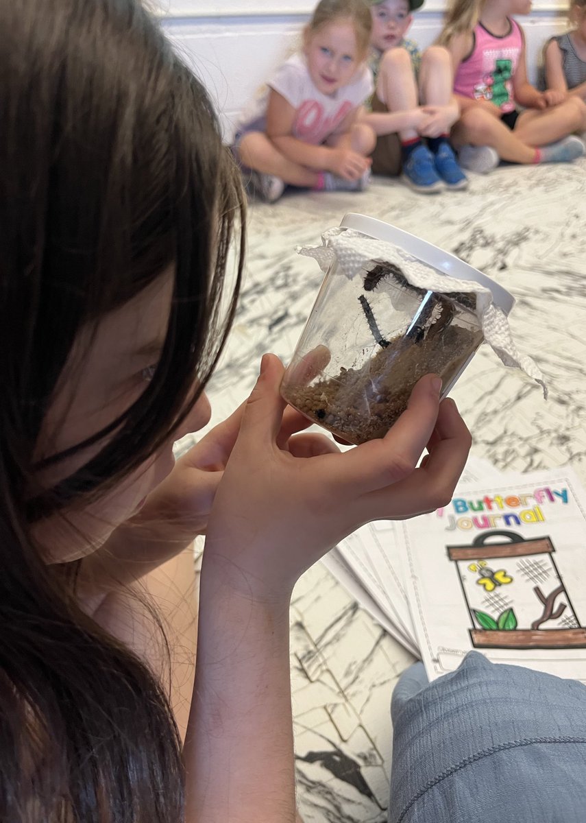 Mrs_NMurray's tweet photo. We have special guests joining our classroom this month.. CATERPILLARS🐛🐛🐛! Ss were so excited to begin observing them, &amp; recorded their noticings in their journals. We can’t wait to see what changes may happen after the weekend.. stay tuned!😁🔎#gr1 #science #observations https://t.co/BNFfSKN5uX