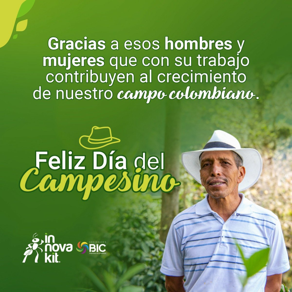 Innovakit tweet media