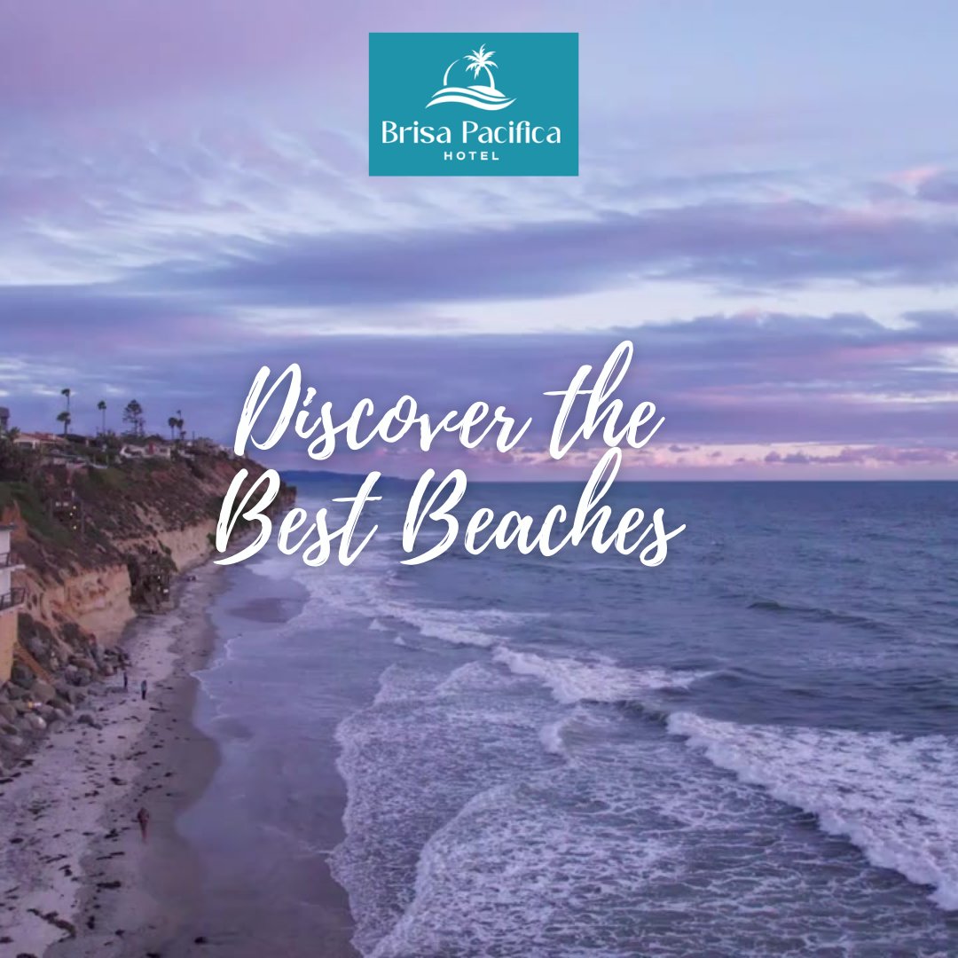 BrisaPacifica's tweet image. Planning a beach getaway? We've got you covered! Stay tuned for our recommendations on the most picturesque beaches near our property.🌊🏖️

#BrisaPacificaHotel #MoonlightBeach #encinitashotel #encinitasbeach #encinitasca #beachgetaway #summer2023 #BeachLife #travelinspiration