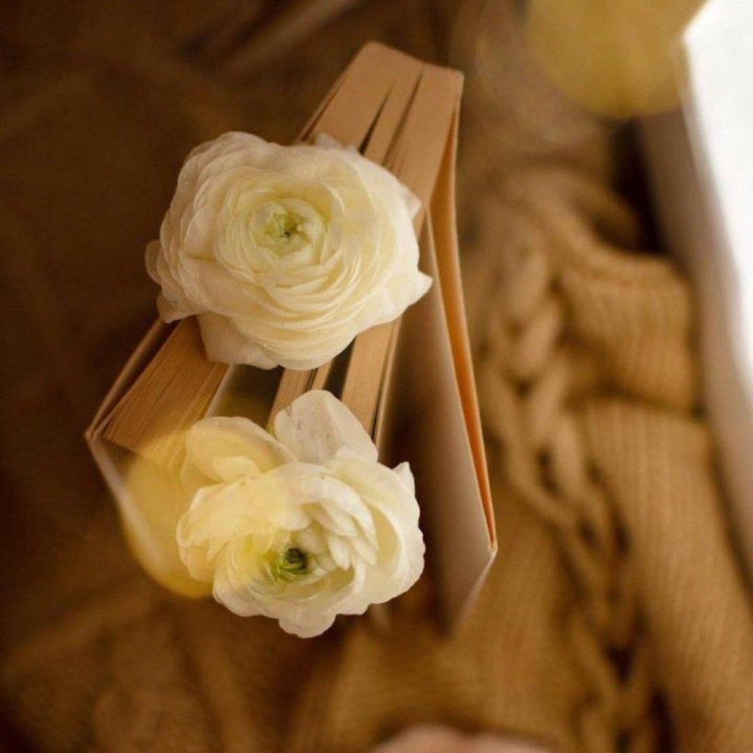 __

الذوق والرد المحترم 
وجبر الخاطر ، ليس لهم 
علاقة بحب أو تملُّق للشخص 
الذي أمامك ... تلك نفسية
متَّزنة وتربية سليمة ليس أكثر🤍