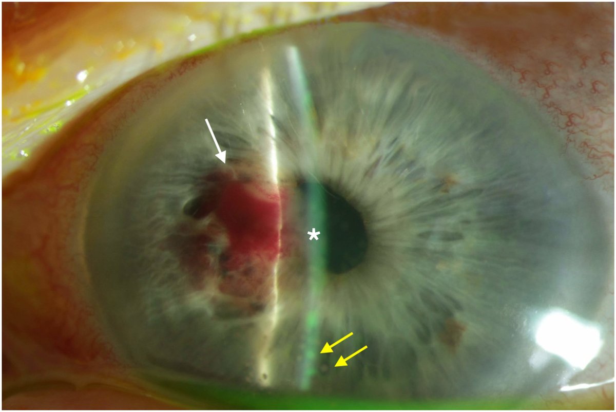 AJO Case Reports tweet media