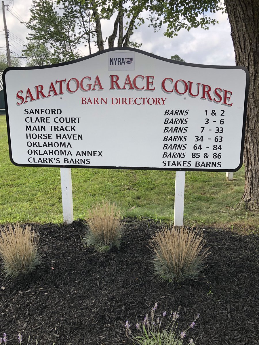 Racing Peeps: seen here this sign In my Westport Ct garden but thinking of Saratoga. Have 10 horses I bred or in partnership. Been in it 16 years. Love the sport. Promote responsible aftercare. And thankful I can be with my wonderful horses. 💕🐎