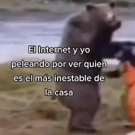 skereunpesado's tweet photo. a mimir https://t.co/TwW443rmio