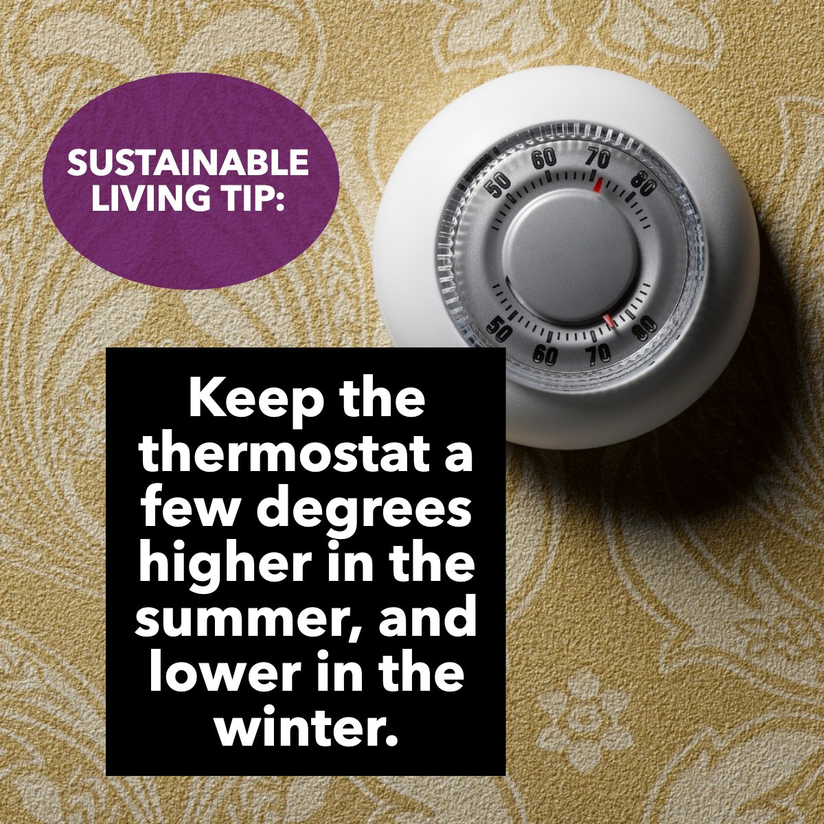 Here is a useful tip! 

Let's try it this and every season! ❄️

#sustainablelifestyle    #sustainable    #sustainablity    #thermostat