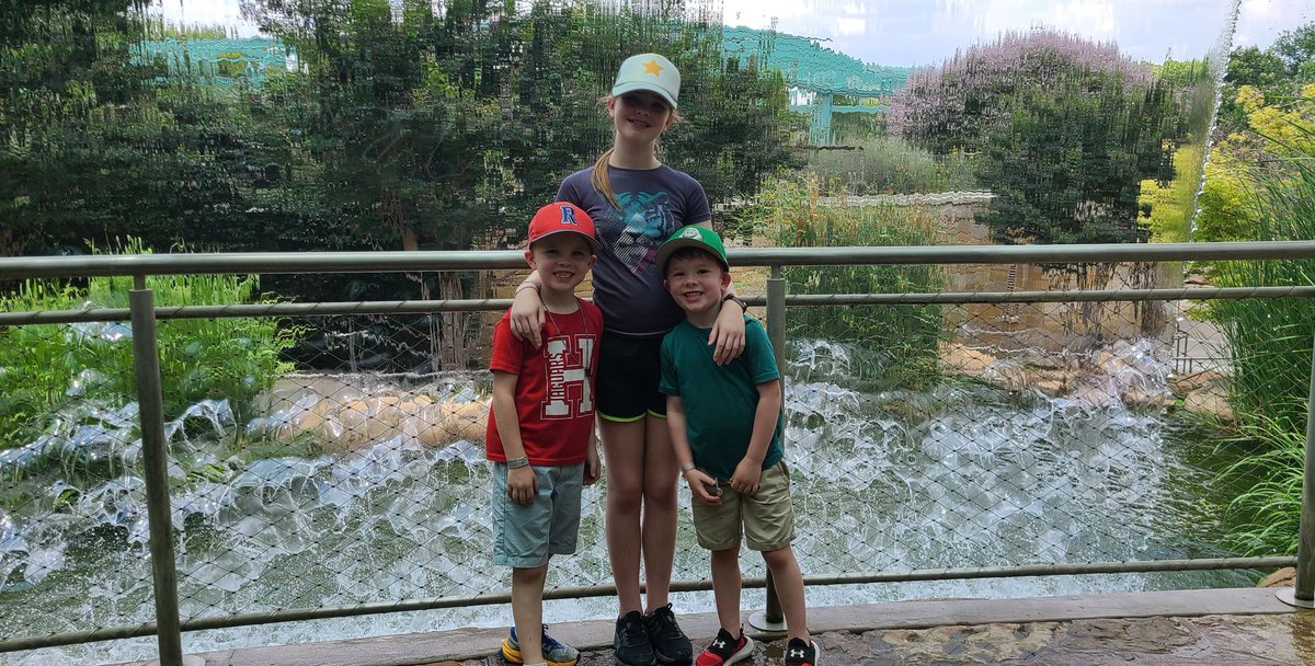 TheTWeave's tweet photo. Summer Adventure #1: @dallasarboretum https://t.co/xVSqe9Zc6F