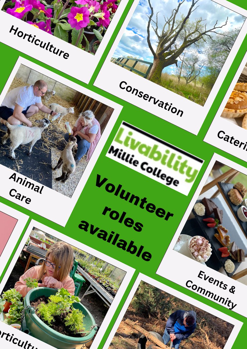 #Volunteering can offer you a chance to learn new #skills, improve your #wellbeing and expand your #social circle, so get in touch if you are interested in making a positive change this year. 
- Conservation
- Gardens/Horticulture
- Animal Care
- Events & Community Engagement