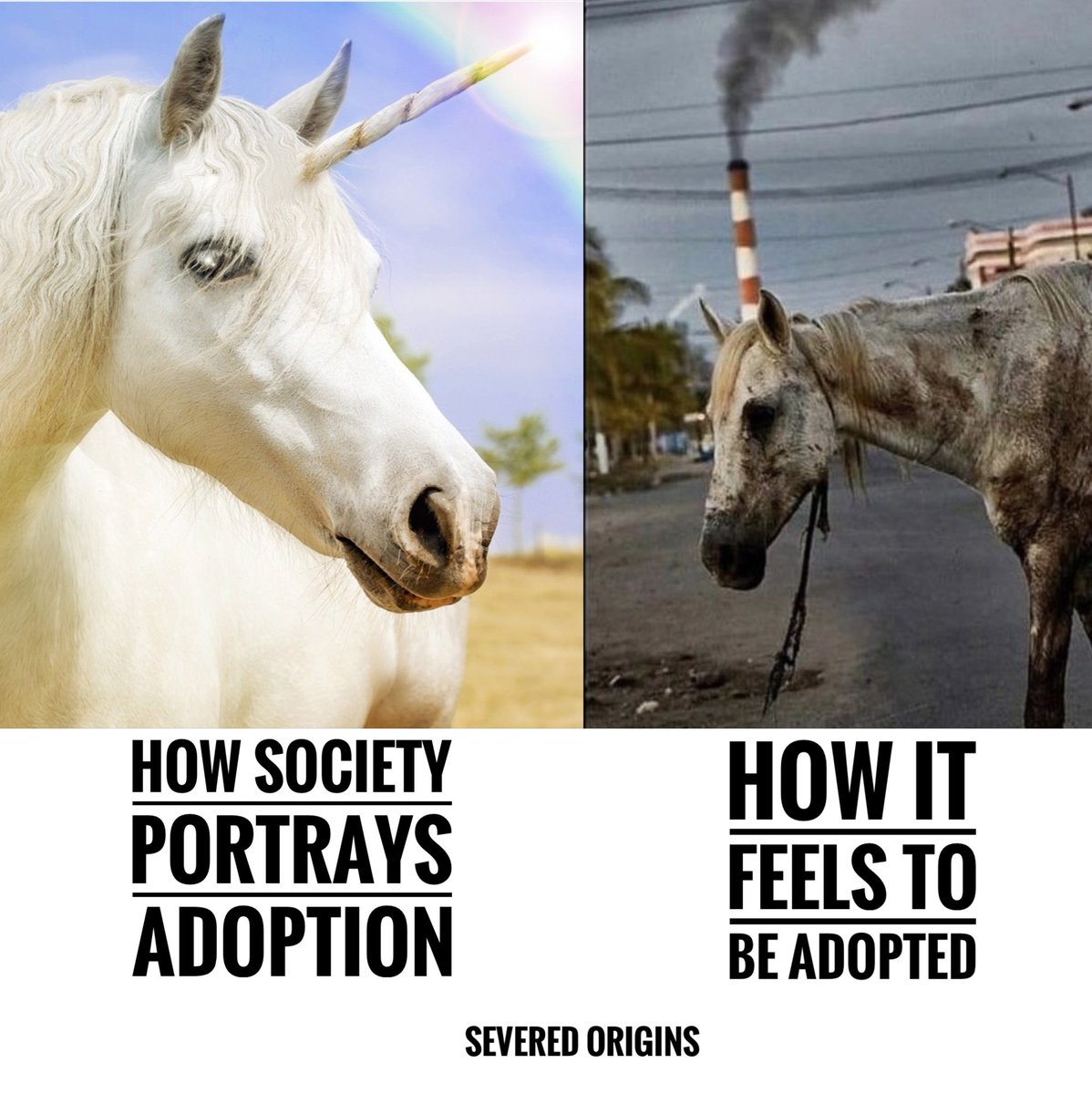 Severed Origins (@severedorigins) on Twitter photo 