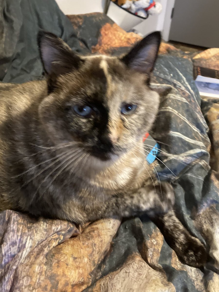 Alex Rosenleaf tweet media