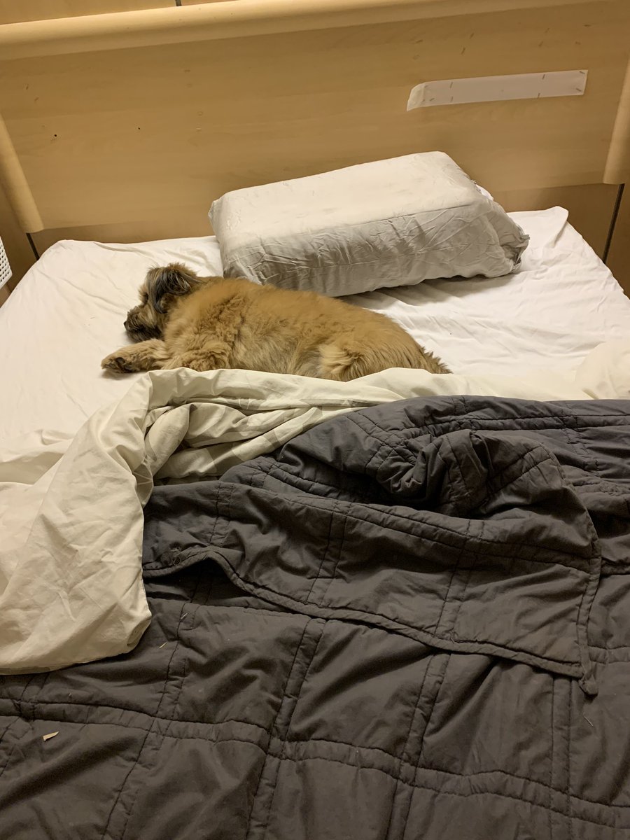 When little prince doesn’t wish to move.