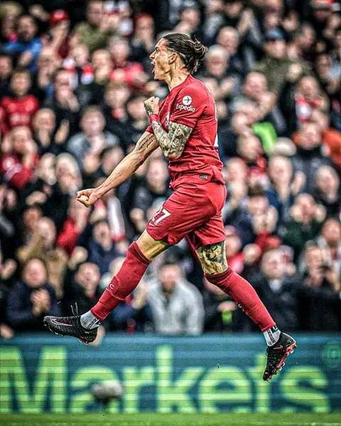 TheDalglishStnd's tweet image. Darwin Núñez 🇺🇾

1st Benfica season: 14 goals
2nd Benfica season: 34 goals

1st Liverpool season: 15 goals
2nd Liverpool season: ⏳

Trust the process!
#LFC #Nunez