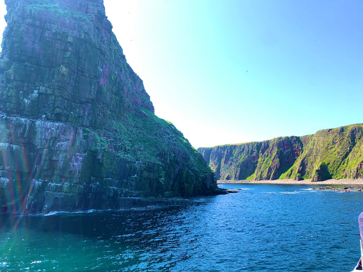 Elliot Newton tweet media