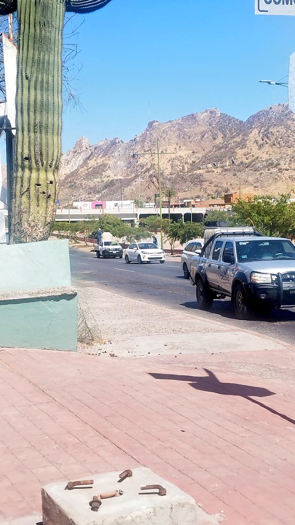 DanyArCst's tweet photo. En algo andamos mal @HermosilloGob @aguahermosillo que andamos regando los árboles a las 3 de la tarde 🧐🧐🧐🧐 https://t.co/uNF83y3nkr