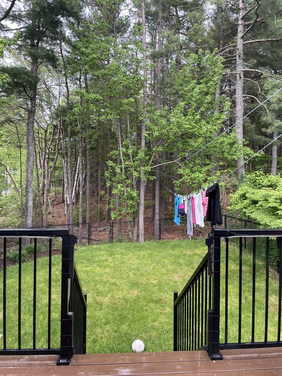 Never been so happy to have laundry caught in the rain!  Welcome rain to Nova Scotia!
