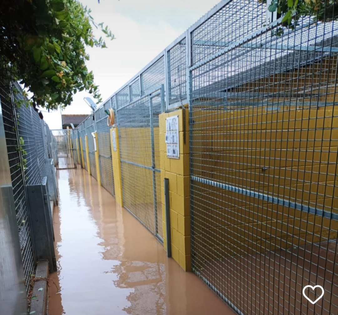 BotranPaola's tweet photo. En el refugio ANAA necesitan ayuda. Más info en las fotos ⬇️ https://t.co/WM8De94uxn