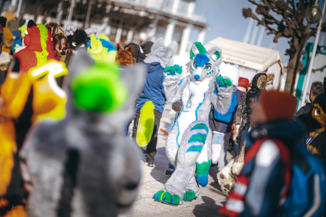 It has been two fursuitwalks since #gdakon already and I still find new awesome photos to post :3

📸: <a href="/sw__wolf/">sw__wolf</a> 
#FursuitFriday #furry #fursuit #furryfandom