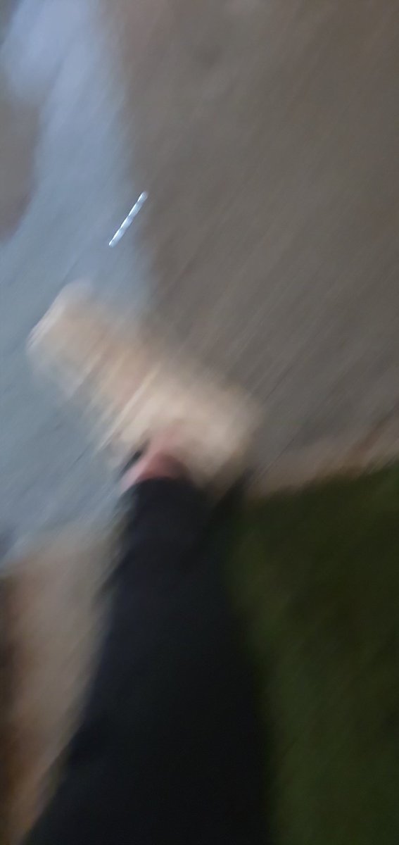 Panicked_Multi tweet picture