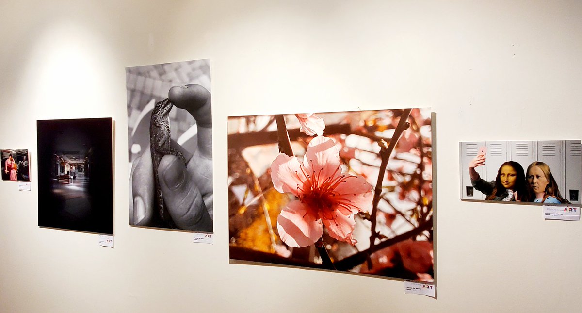 ajayeart's tweet photo. More wonderful shots...@RulesRoom @MSD_Caputo @MHSPorowski https://t.co/URmXsuzGA8