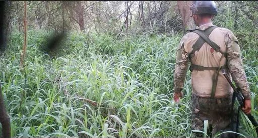 NEW: Per fed & TX law enforcement sources, multiple times this week, suspected members of the Northeast Cartel, armed w/ rifles, crossed into the US in the Fronton, TX area in the RGV. 5 arrested yesterday via Border Patrol, @TxDPS, & @TXMilitary. Others seen on cam. Pics: TX DPS