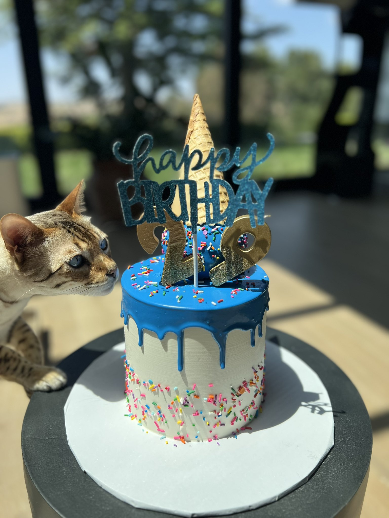Kyedae on Twitter: "@shroud Happy birthday 🐐🥳" / Twitter