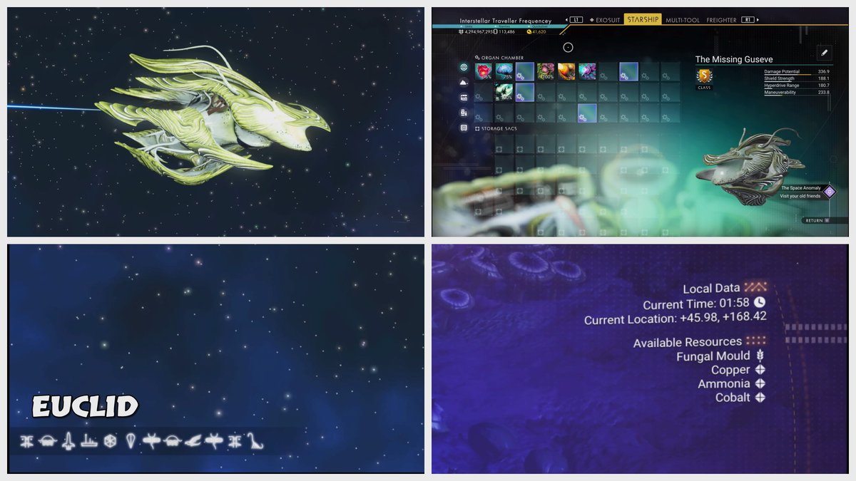 Frequencey71's tweet image. Living Ship, Euclid #NMSInterceptor #NoMansSky #NoMansSkyShip #NMSPhotography #ShareFactoryStudio #PS5Share