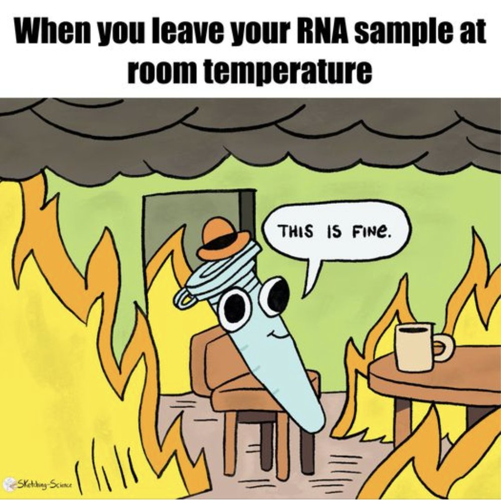BioChain's tweet photo. Bye bye, precious sample!

#fridayfun #sciencefun #goodnews #science #friday #lablife #fridaymood #labvibe #sciencehumor #biology #laboratory #biotechfun  #health #biotechnology #biotech https://t.co/rZsDPEHK5R