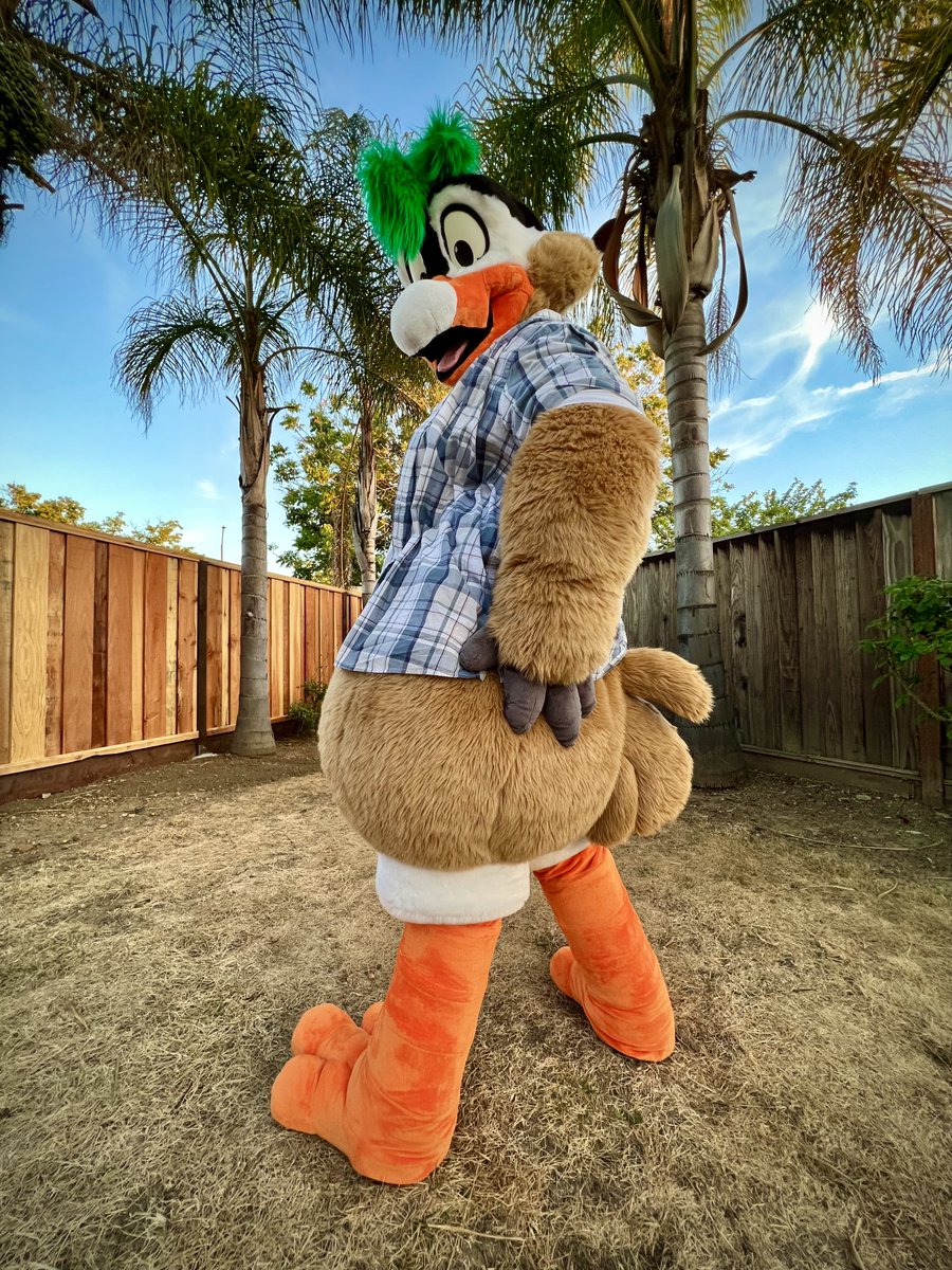 My GOOD side?? How can I possibly choose just one?? 🦆🪞💕 #FursuitFriday 📸: @microdile
