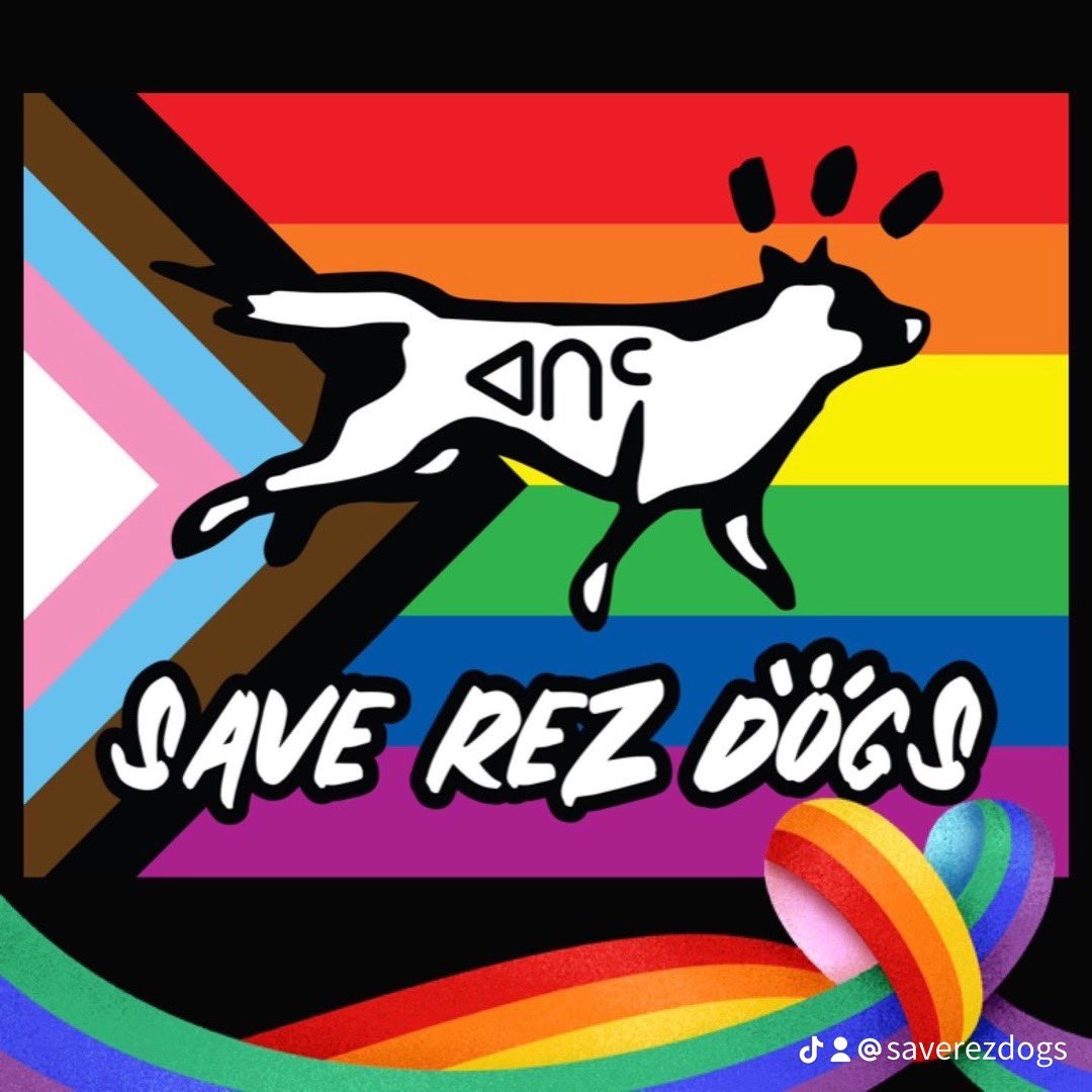 saverezdogs tweet media