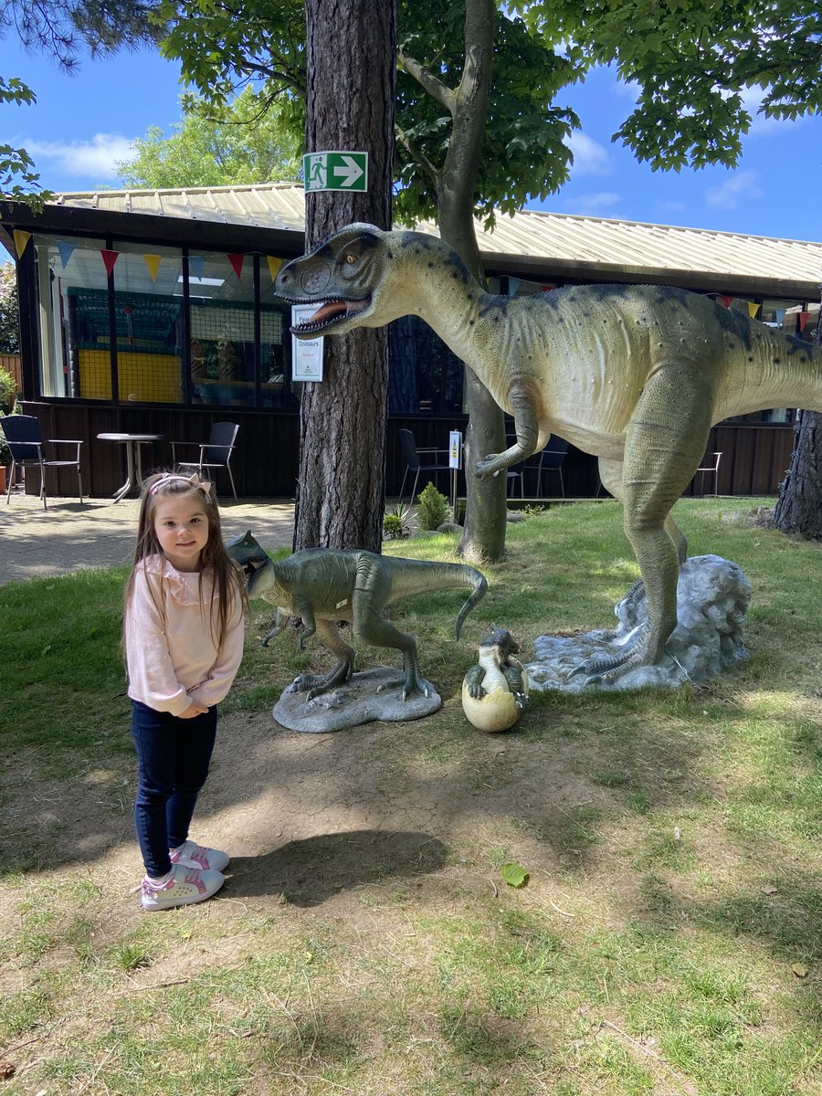 bevreilly22's tweet photo. Active day for Hollie. Morning with Grandad dreaming at Porsche garage! Play time at play park. Trip to Arcadia To pick a memorial (more later).Quick dino https://t.co/WNZDTqRf79 appointment. Asthma diagnosed. Steroid &amp; salbutamol via volumatic   she aced it! Gorgeous girl. Bx 👧🏻 https://t.co/NwhjVMyAyY