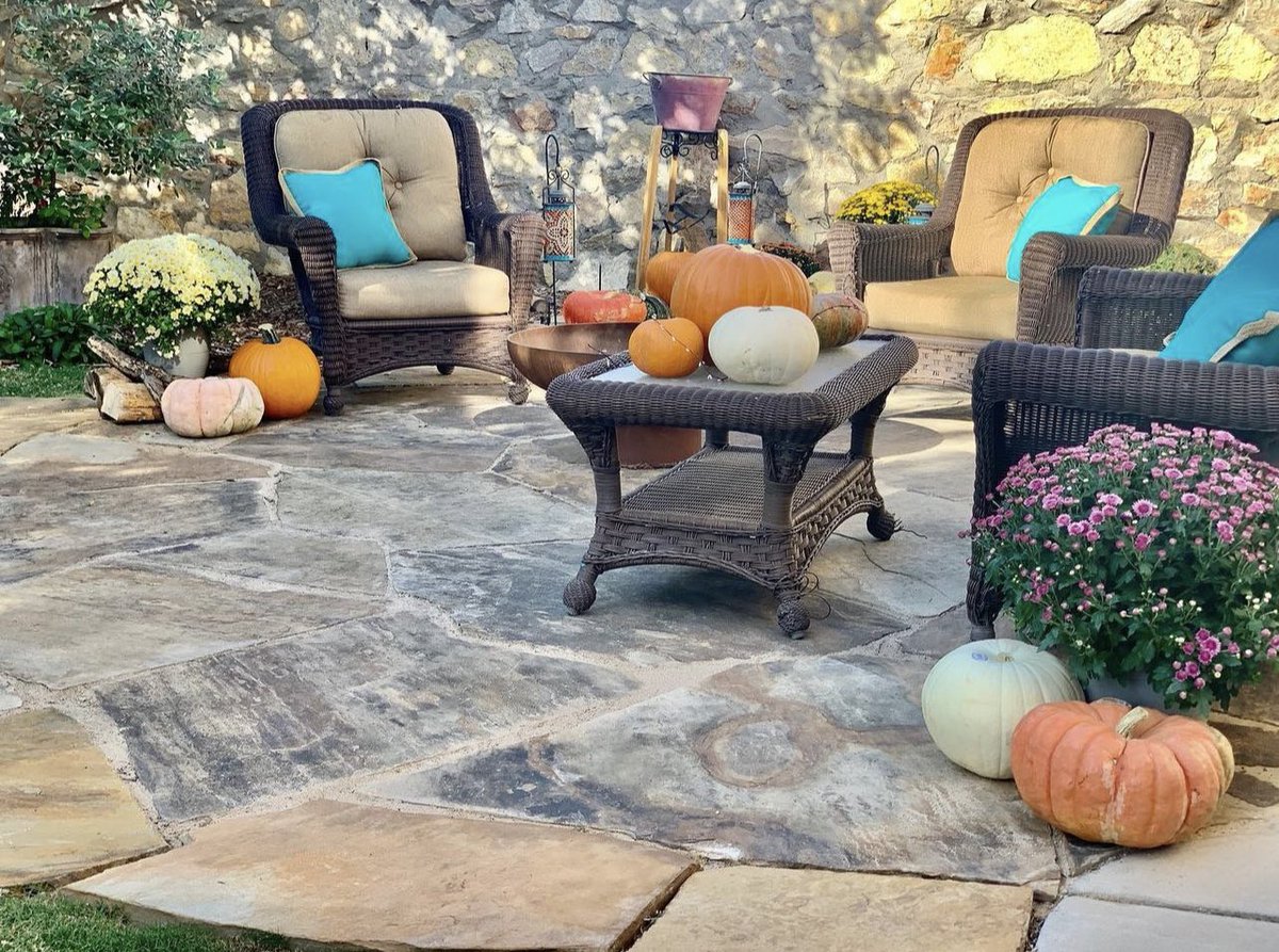 Mums and pumpkins make any space great! 

#elpaso #texas #landscapedesign #landscapecontractor #landscapemaintenance #outdoors #backyard #backyarddesign #newmexico #lascruces #albuquerque #santafenewmexico #carlsbadnewmexico #design #designer