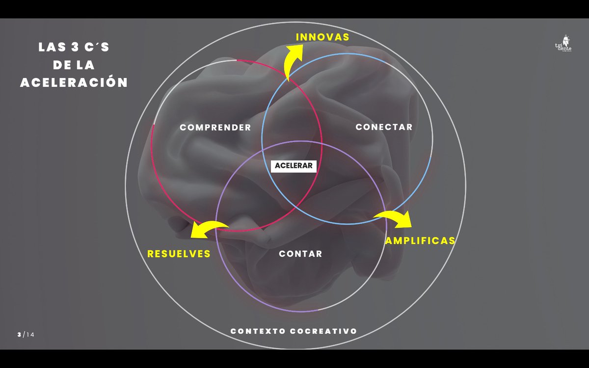 Claudio Flores Thomas tweet media