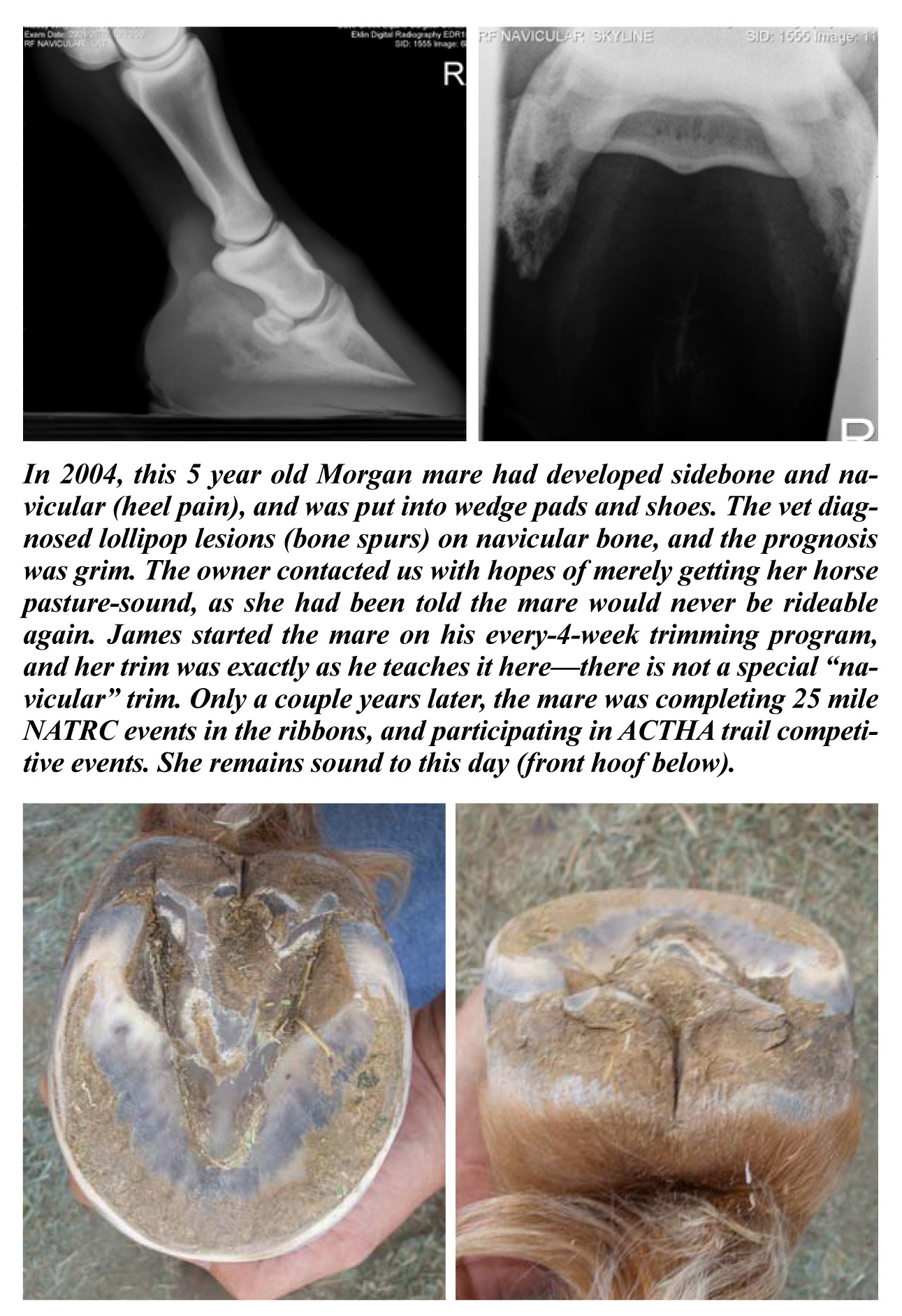 The Horse's Hoof on Twitter "There are lots of scary foot & hoof