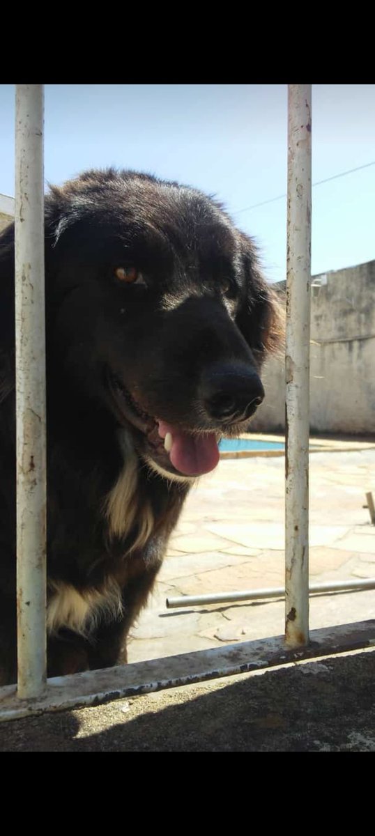 Moreno David tweet media