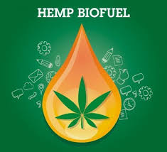 GatekeeperLabs's tweet photo. #StonerFam #Mmemberville
#PrivateEquity #Growth #大麻 #القنب 
Rec Cannabis, Medical Marijuana or Sativa Hemp.

All make Hemp Biomass which we will process into #Biofuel 😉 follow for updates https://t.co/02zmkd8yFH