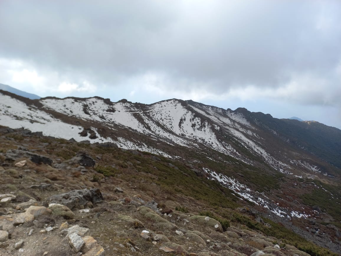 Dinanath Bhandari tweet media