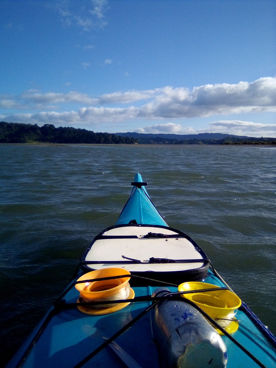 transparency_a1's tweet photo. Kayak secret fishing trick.
One beer bottle and two hand lines.
The bottle allows bites to run out line and is breakaway if you connect to a shark or ray. (Beer optional)
Ohiwa was perfect today. #fishfortea https://t.co/0KBgrIjMGW