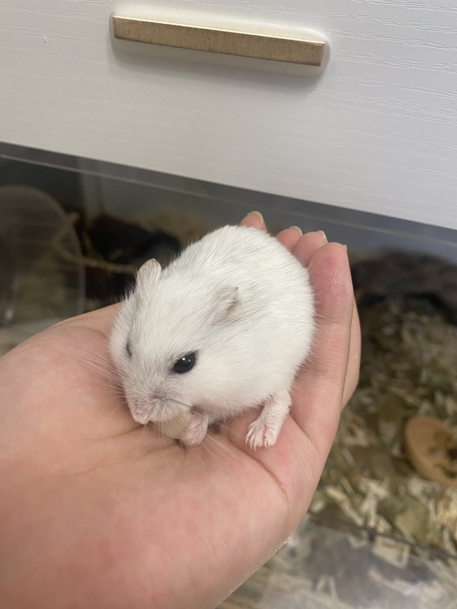 손에서 뇸뇸 먹는 오도~~
오랜만에 사진방출 ☺️👍