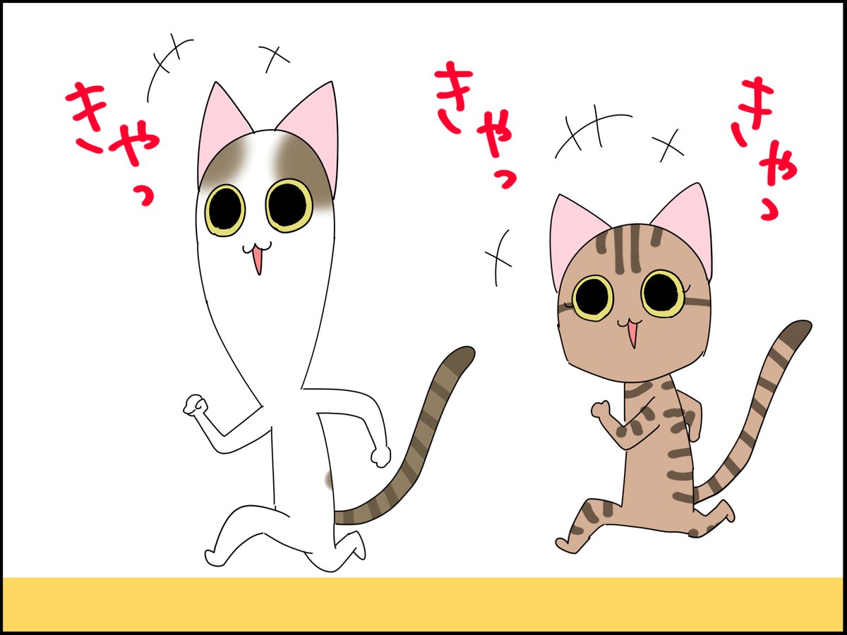 ある日の猫①
#猫がいる暮らし #猫好きさんと繫がりたい #漫画が読めるハッシュタグ #コミックエッセイ