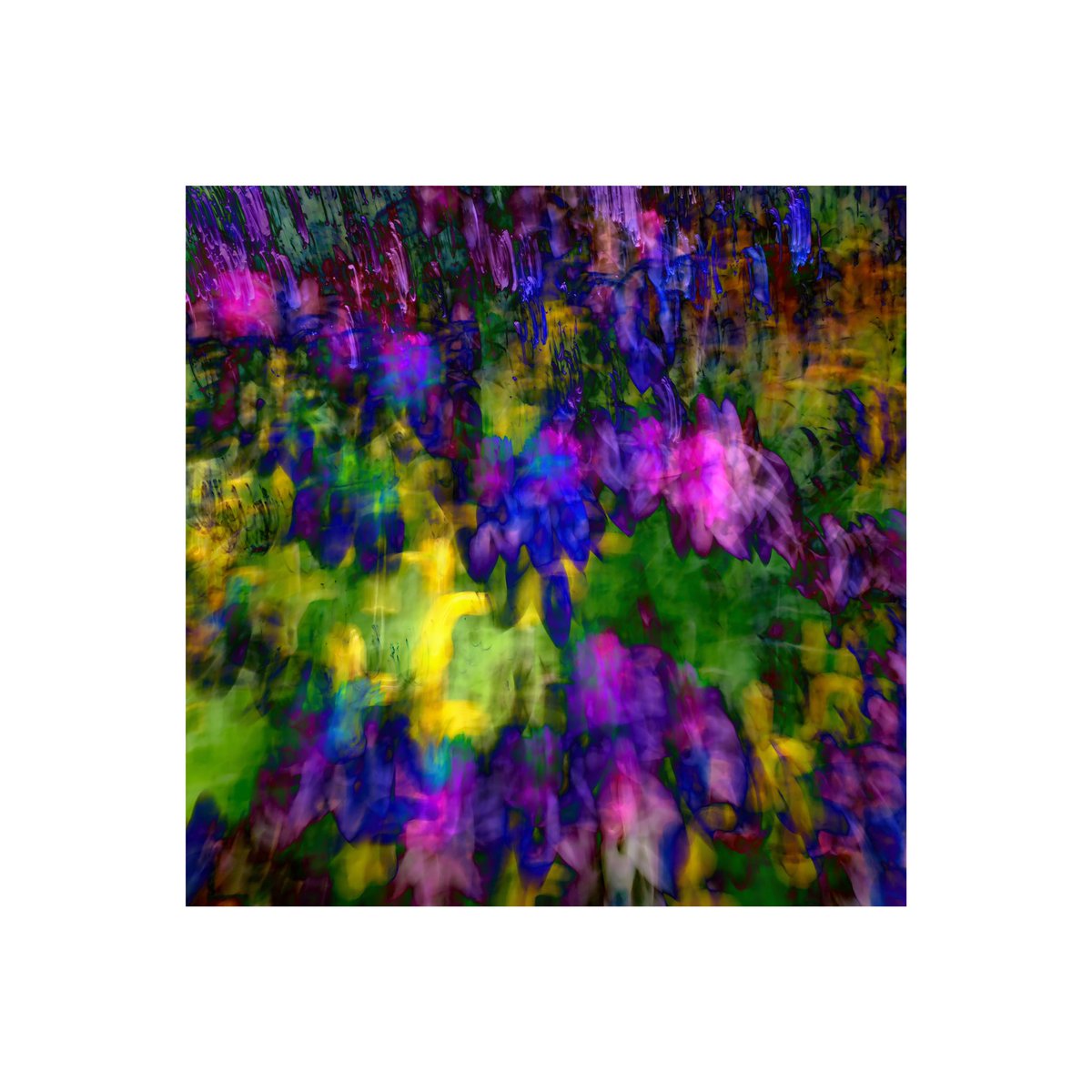 Day 153 365 days of ICM photography 
#icmphotography #icm #intentionalcameramovement #abstractphotography #abstract #icmphoto #icmphotomag #impressionistphotography #bluronpurpose #camerapainting #365in2023