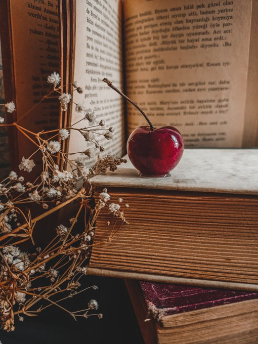 ClarkGoddess9's tweet photo. FRUITFUL FRIDAY #writerslift #WritingCommunity #BookTwitter #writersoftwitter #AuthorsOfTwitter #BookRecommendations #ShamelessSelfPromoFriday    Drop your #books #websites #blogs #poetry #artwork #WIP   Let's read, write, reciprocate and reflect 📚📷🔥🔥🔥🔥🔥 https://t.co/jPFDrQtAjk