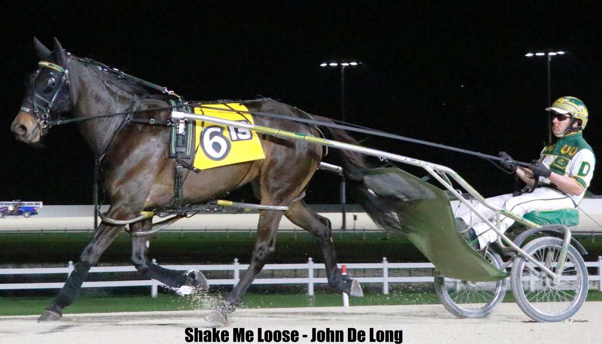 hoosiernations's tweet photo. INSFC Converse
#DrivingTriple Robert Taylor &amp; 2 training
#Double James Yoder &amp; Doug Rideout
Race 1 Shake Me Loose - John De Long 3yo filly pace &amp; overall new TR 1:55.3
Race 6 Coaches Corner - Derek Hooley 3yo colt pace &amp; new overall TR 1:54.1
#Quest4GovernorsCup #RaceLikeAHoosier https://t.co/W5pwHztM24