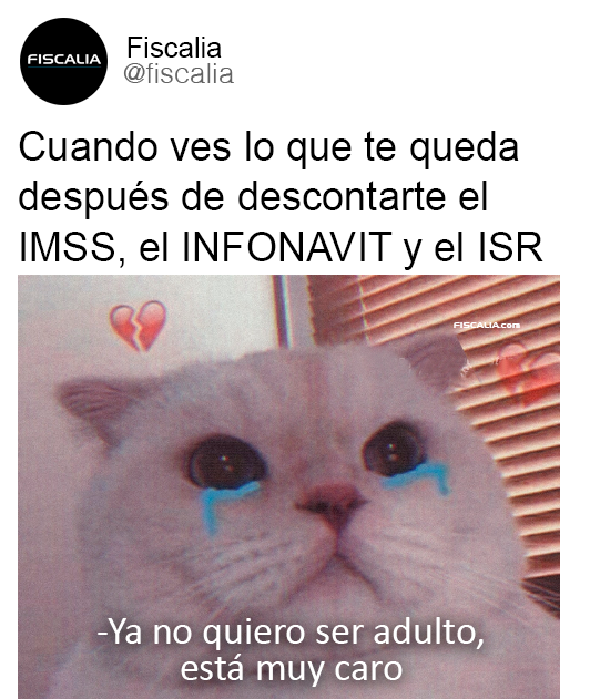 Fiscalia (@fiscalia_cif) on Twitter photo 