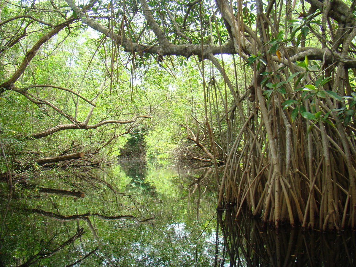 🌎 Hoy en el #DíaMundialDelMedioAmbiente te invitamos a proteger de las bellezas naturales que tiene #México, permitamos que todo el mundo disfrute de ellas. 😍