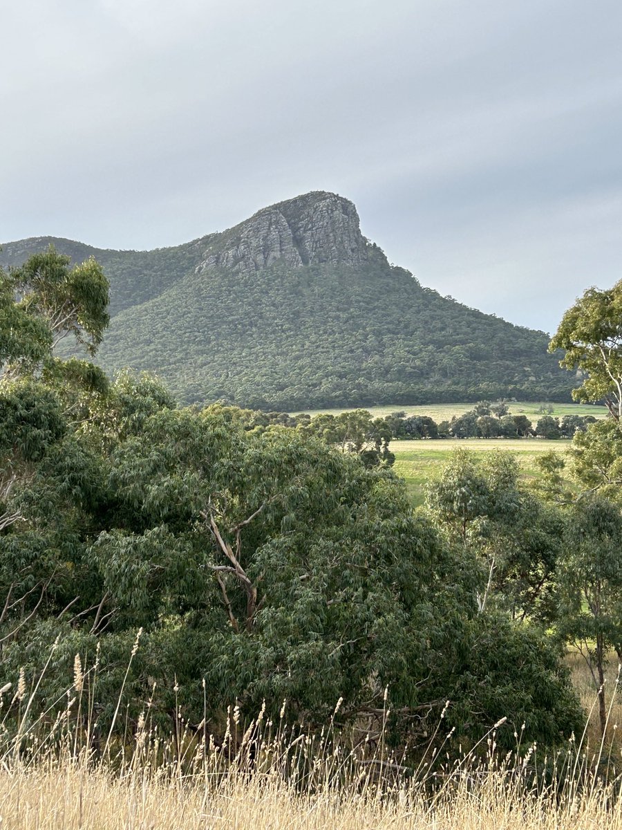 mandytreagus's tweet photo. Hanging out with Wurgarri in #Gariwerd #Grampians https://t.co/RFybcJWgeS