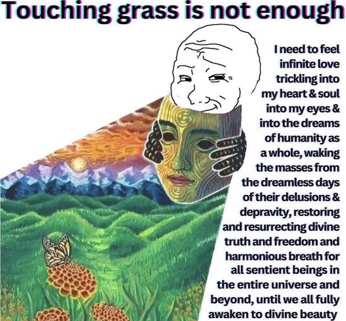 Touching Grass Is Not Enough