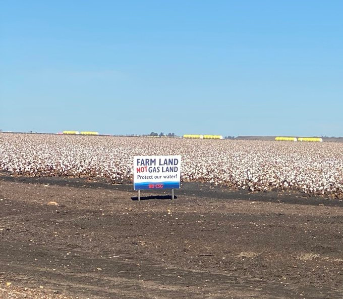 Hendrik Gout tweet media