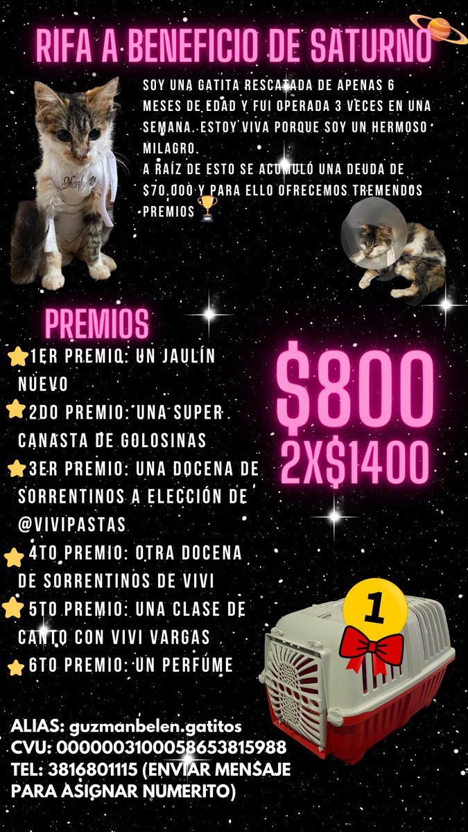 BelenGuzman69's tweet photo. Me ayudan a difundir la rifa a beneficio de Saturno? 🪐
📍Tucumán 

Muchas gracias 🌹 https://t.co/c2I67M4iAm
