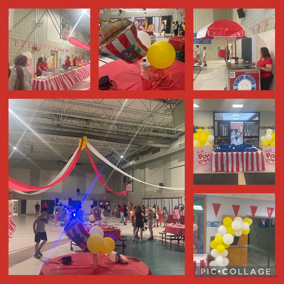 Laura Cecilione tweet media