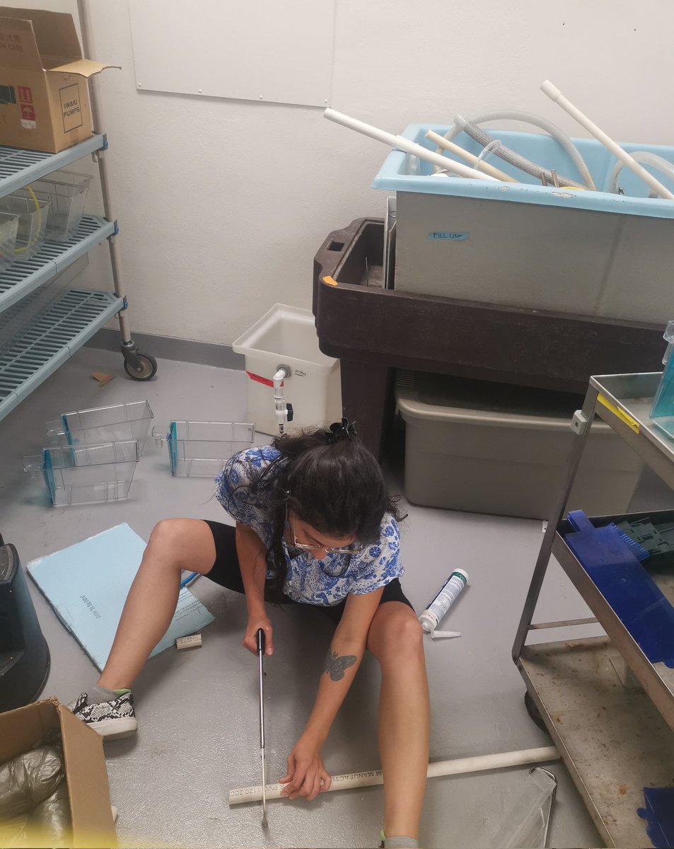 Who would said that I would learn to be an electrician and a plumer in a biology PhD. #biology #toxicology #LSUstudent #phdlife
