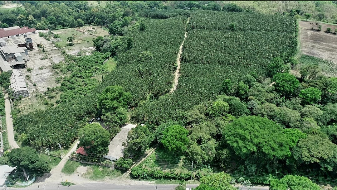 🇸🇻Azul y blanco 🇸🇻 on Twitter "El patrimonio en total haciende cerca