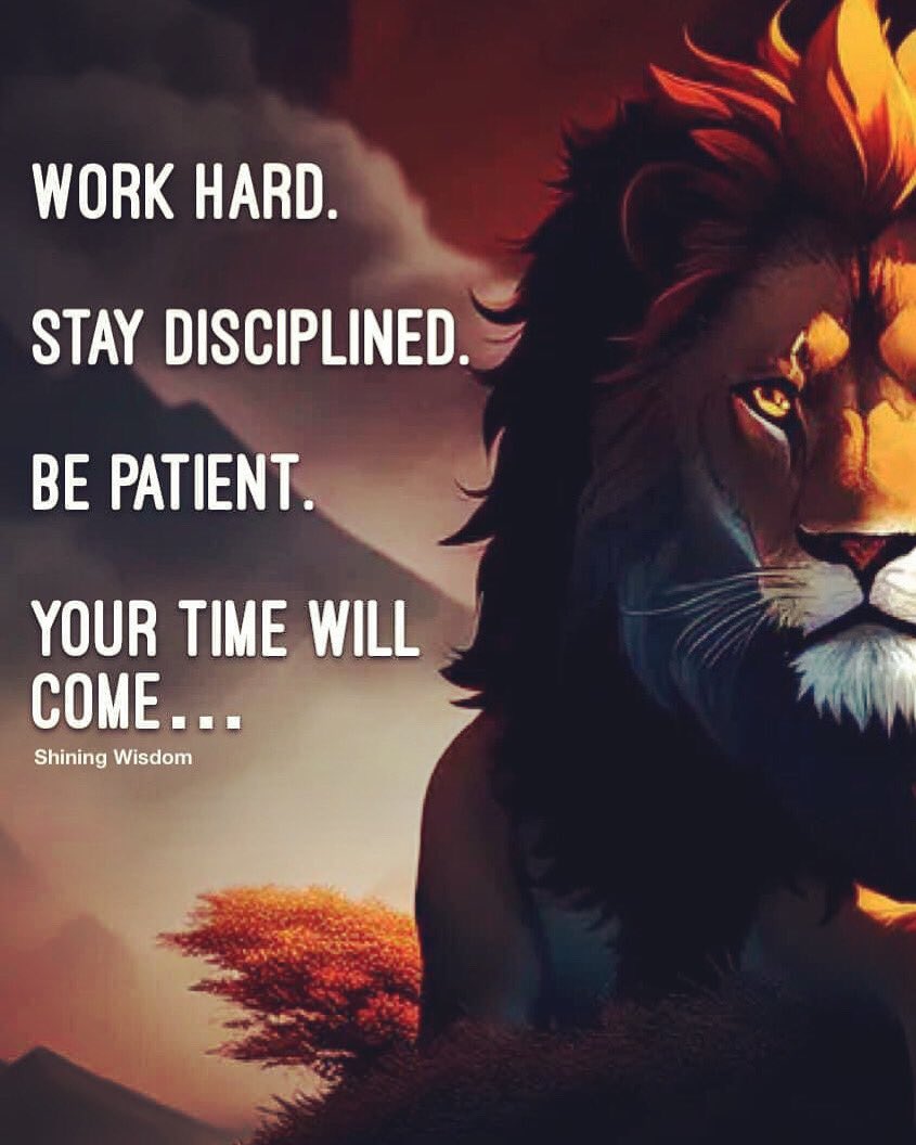 Shining_Wisdom's tweet photo. Success and achievement of anything significant, regardless of industry or context, only manifests through hard work, discipline and patience.✨🦁✨

#motivation #inspiration #goalsetting #positivemindest #personalgrowth #selfcoaching #selfdevelopment #success  #achievement https://t.co/DwXgh3q8W9